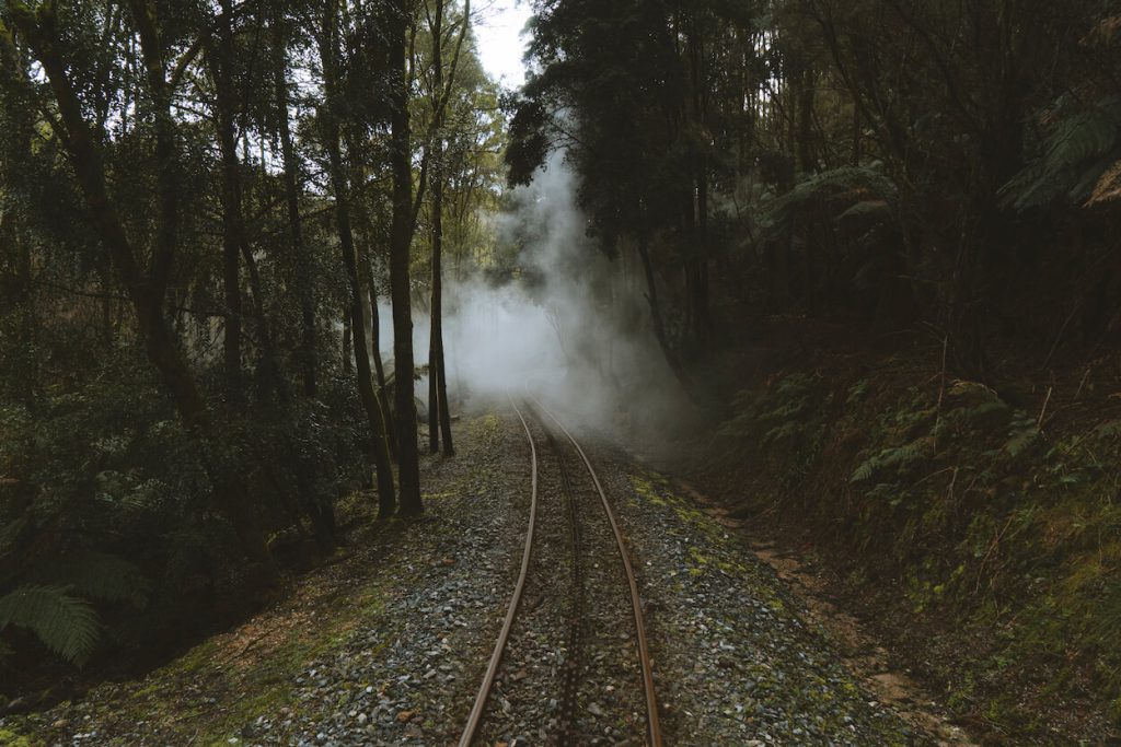 The rack and pinion railway snakes its way through the rainforest.