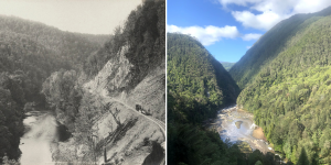 Side by side image of the King River Gorge. The image on the left is from the late 1800 and shows a flowing river at the bottom of a steep gorge. On the right bank is a denuded hill with a railway line cut into it. The right hand image shows a shallow river and steep hills covered by rainforest.