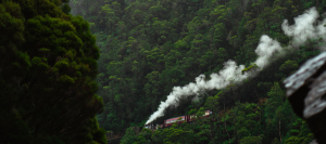 A deep green, wooded hillside is seen with a trail of steam running along the length of the image horizontally. A small train with red carriages can just be made out on the side of the hillside.