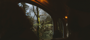 A dark and mysterious image taken from inside a train carriage. The wooden detail of the window frame is evident and through the window sits a tree trunk covered in moss.