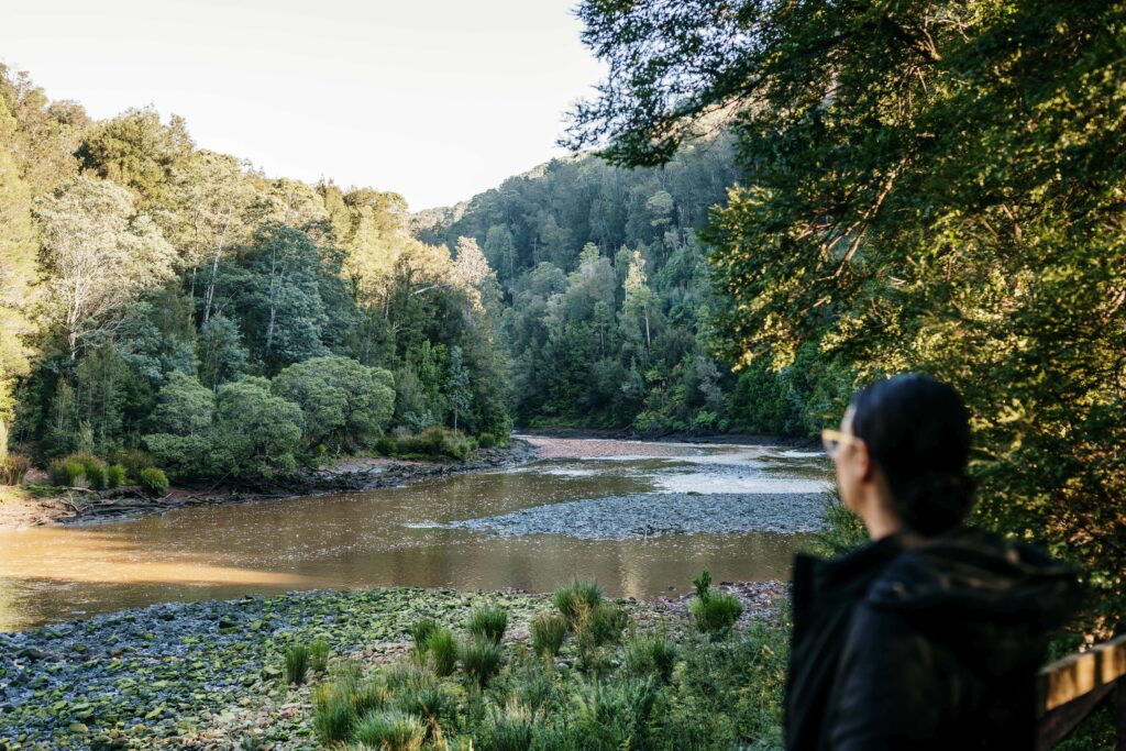 A woman gazes out at the King River, stained brown with natural tannins. The opposite riverbank is thick with rainforest vegetation, while the foreground shows a bank of river pebbles and button grass.