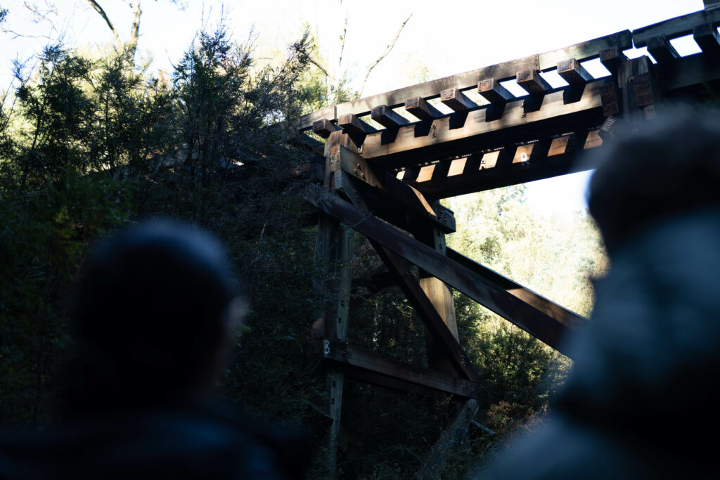 The underside of a wooden railway bridge from the vantage point of two women, who are gazing up at the bridge.