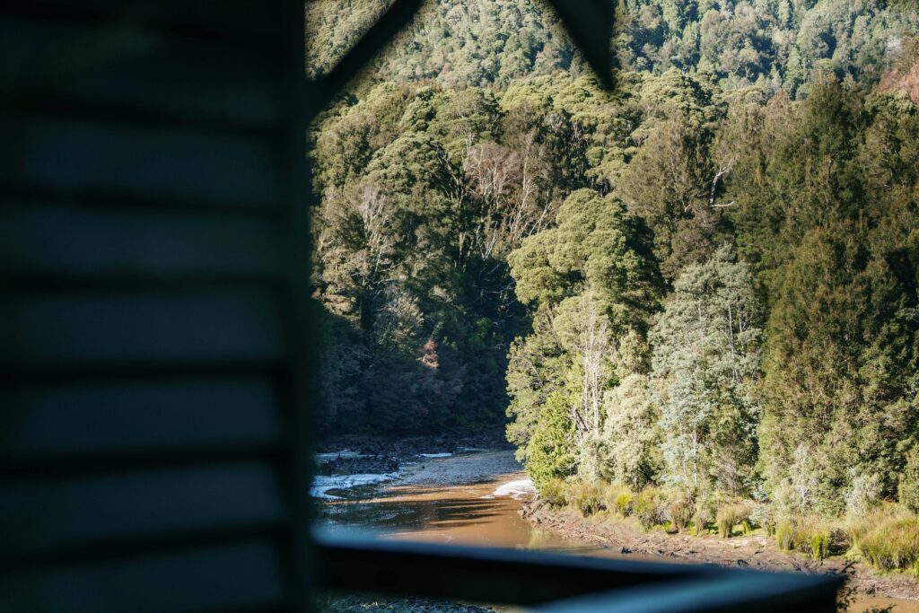 The view outside the carriage shows the King River, stained brown by natural tannins. The riverbank opposite the train is thick with rainforest vegetation.