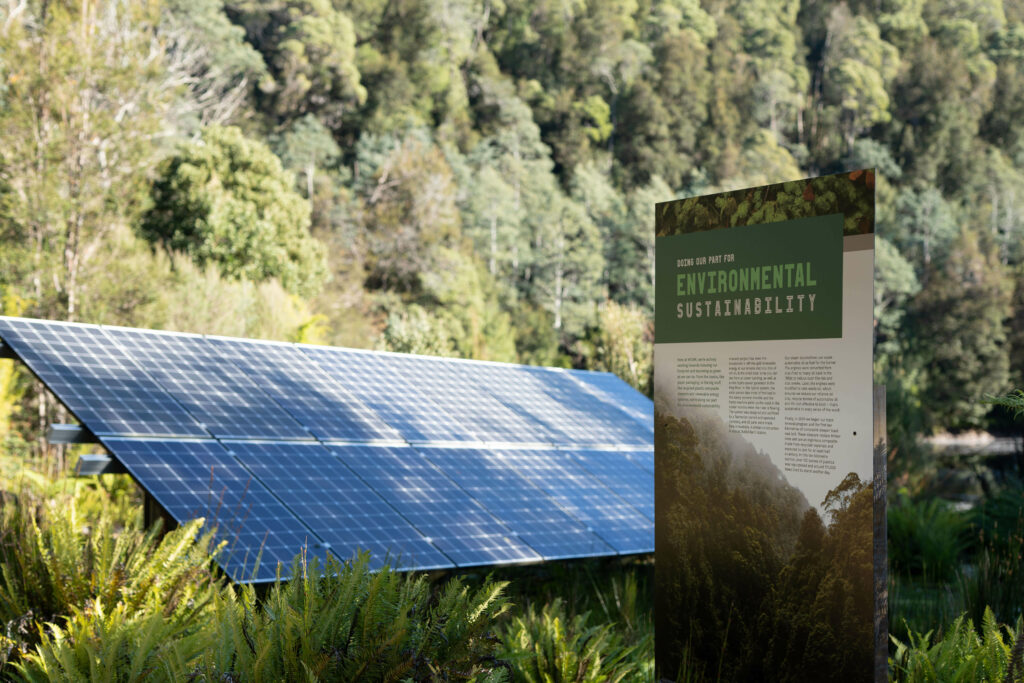 A large solar panel sits in the middle of the image. In the background are many trees of different shades and sizes, while the foreground shows the panel surrounded by endemic fern species and a tall interpretation sign titled 'Environmental Sustainability'.