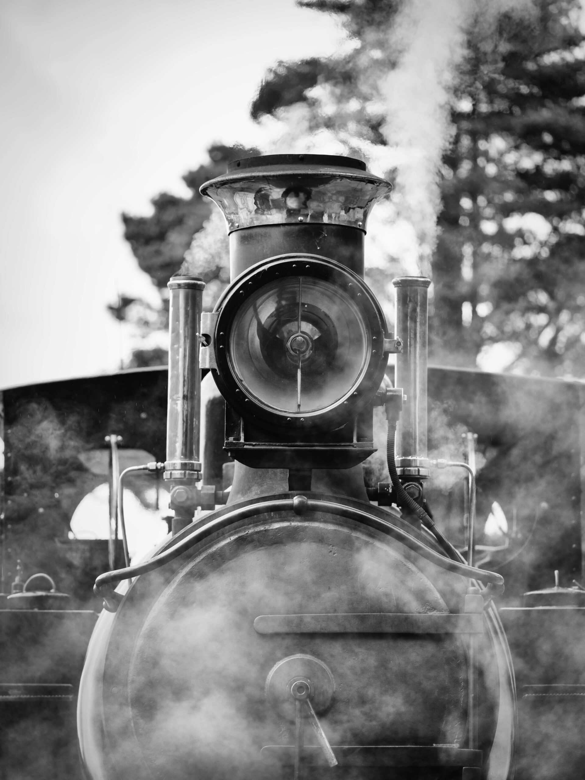 A locomotive sits outside with gum trees in the background, quietly steaming